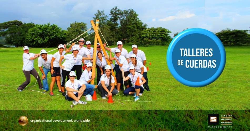 Team Building LATAM Talleres de Cuerdas Bajas | Team Building Empresarial para el desarrollo de equipos de trabajo